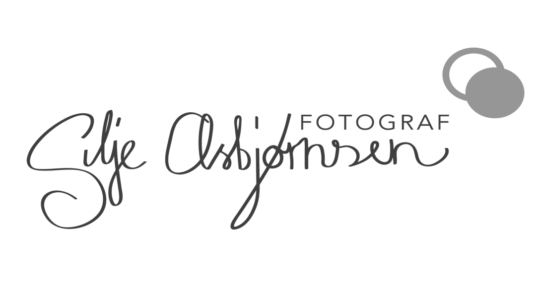 siljeA_transprant Lavere SORTGRÅ.png